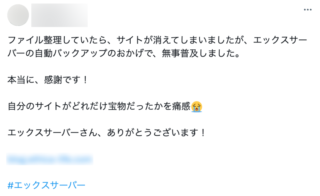 X（旧Twitter）でのエックスサーバーに関するポスト